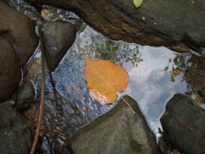 CreekAndLeaf Costa Rica, Uvita, water, creek, lead, reflection
