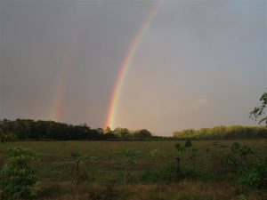 Double Rainbow (Medium)
