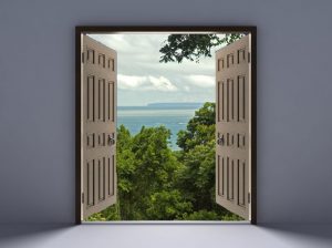 DoorTierraVerde