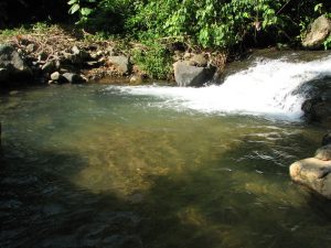 Who needs a pool when you have a river?