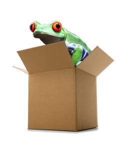 Think-outside-the-box
