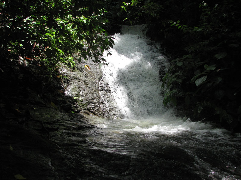Water at the End of the World