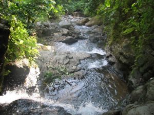 Rio River In Uvita Costa Rica