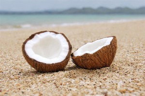 Coconut on the beach A metaphor for life in Costa Rica