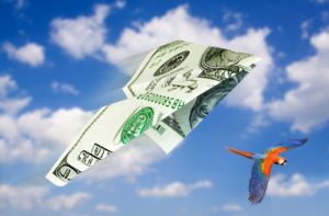 Airplane flying above Scarlet Macaw dollar+airplane+scarlet+macaw