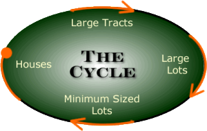 Real Estate Cycle