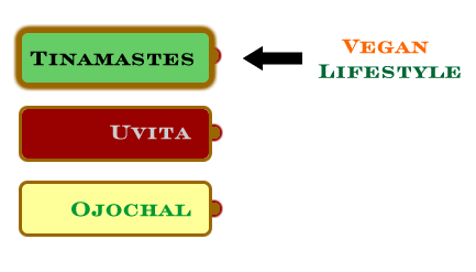 Towns for the Vegan Lifestyle - Ojochal Uvita or Tinamastes