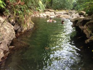 Swimming in a Costa Rica quebrada.