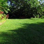 Lot for sale in Uvita Costa Rica