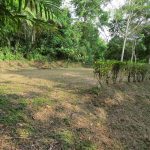 Uvita Costa Rica property for sale