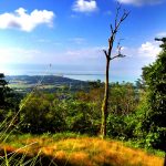 Big Whales Tail view in Uvita Costa Rica