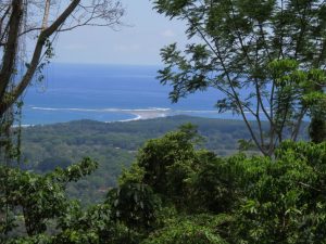 Whales Tail view property Uvita