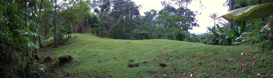 Whales Tail vew property in Uvita