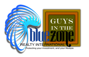 Blue Zone and Guys in the Zone Logo