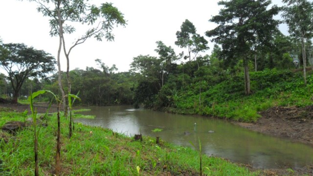 Private lake on this property
